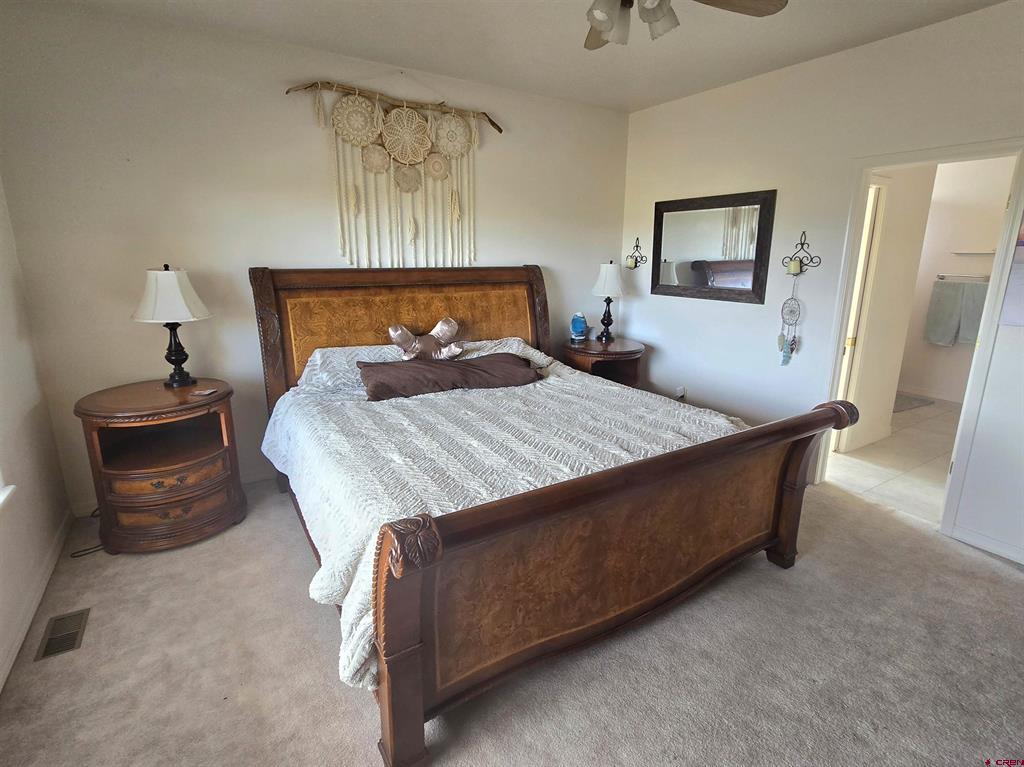3733 Buffalo Lane Montrose CO 81403