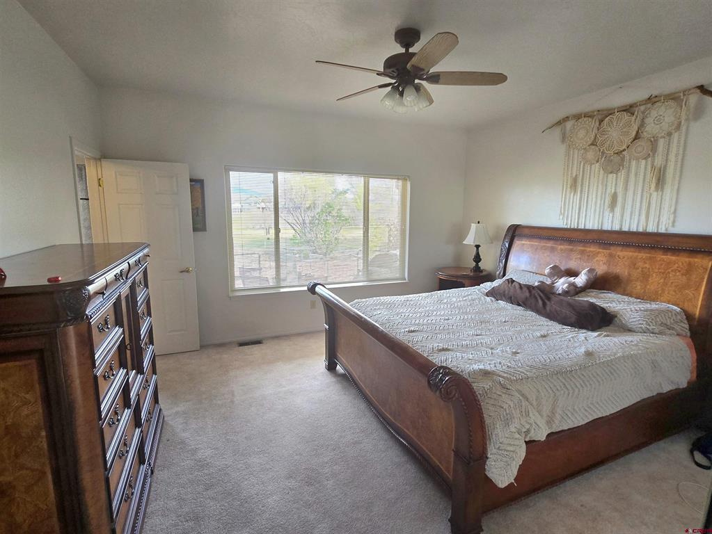 3733 Buffalo Lane Montrose CO 81403