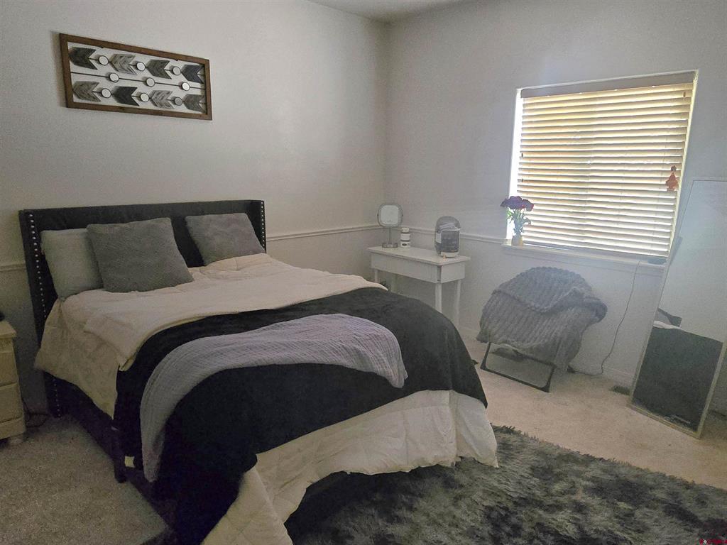 3733 Buffalo Lane Montrose CO 81403