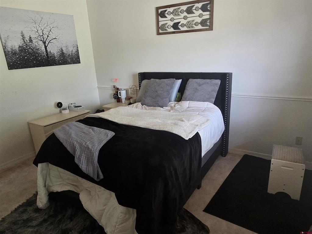 3733 Buffalo Lane Montrose CO 81403