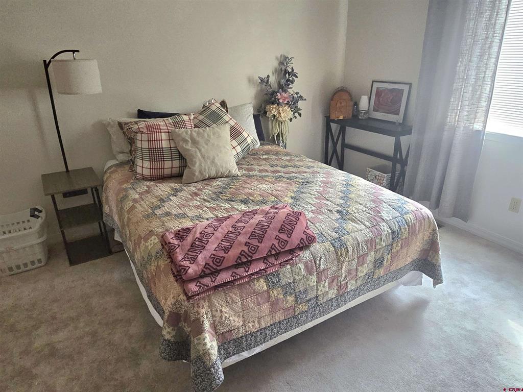 3733 Buffalo Lane Montrose CO 81403