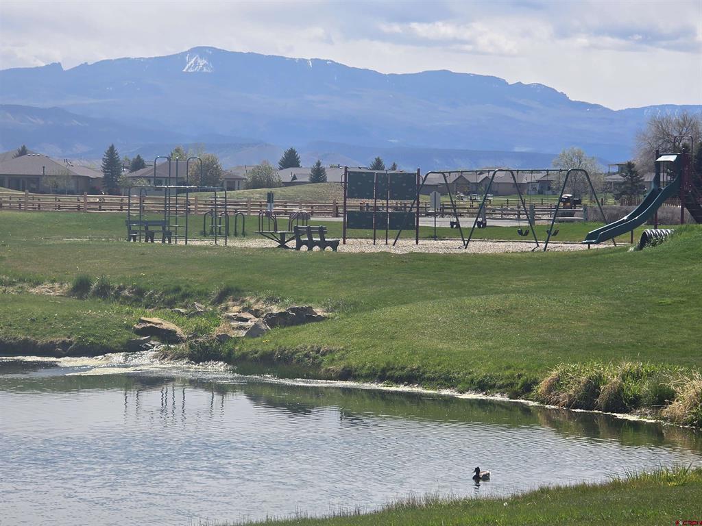 3733 Buffalo Lane Montrose CO 81403
