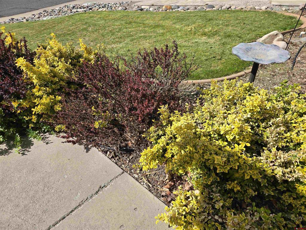 3733 Buffalo Lane Montrose CO 81403