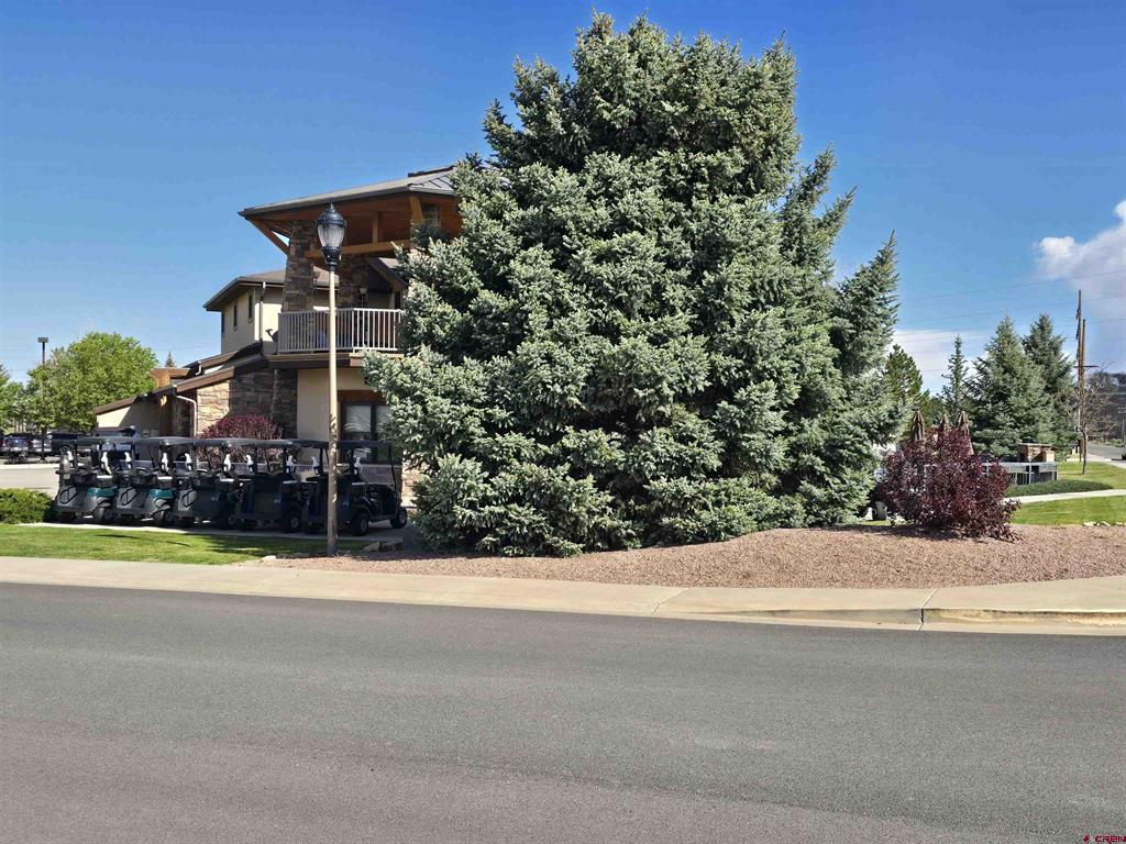 3733 Buffalo Lane Montrose CO 81403