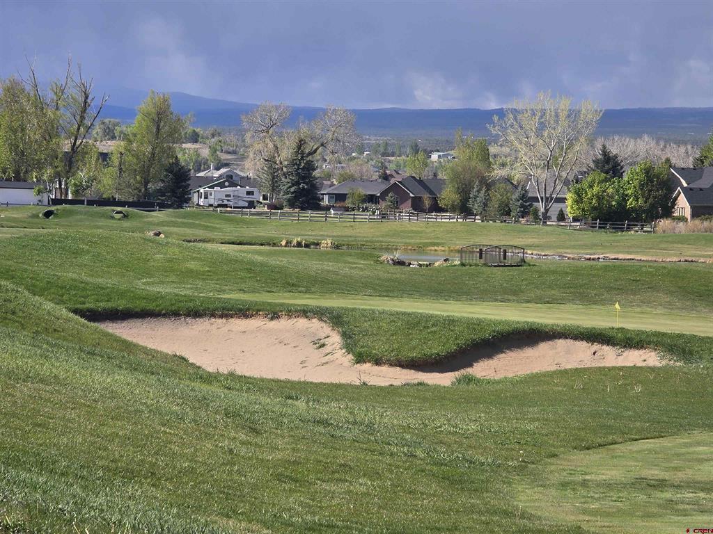 3733 Buffalo Lane Montrose CO 81403