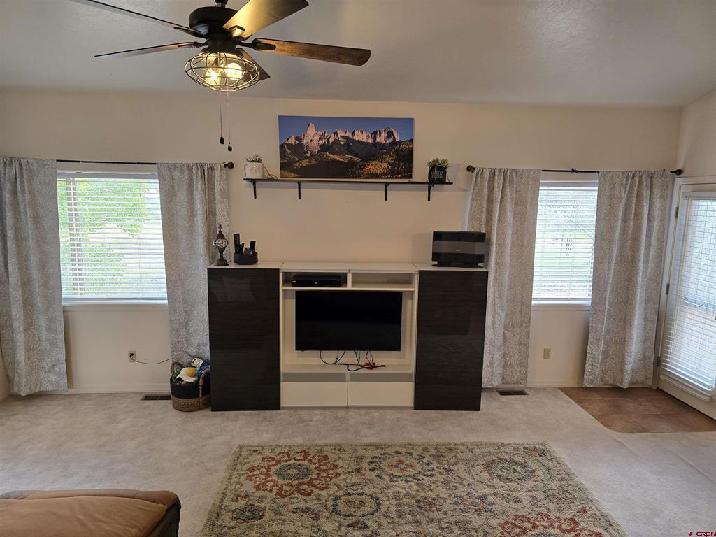 3733 Buffalo Lane Montrose CO 81403