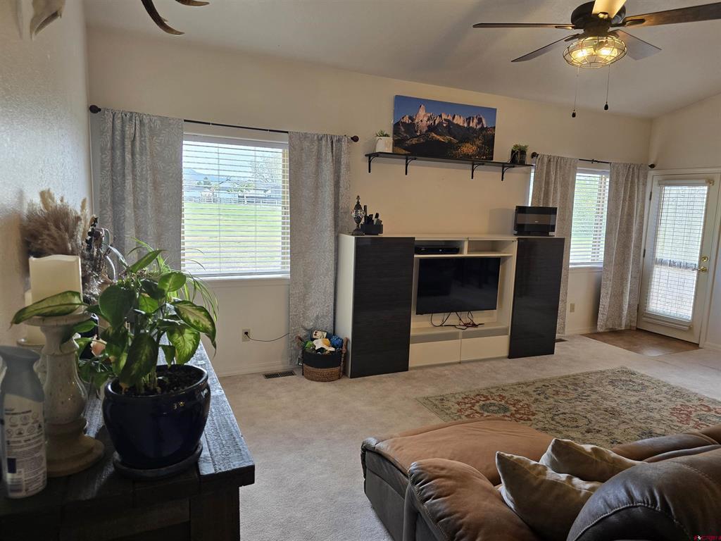3733 Buffalo Lane Montrose CO 81403