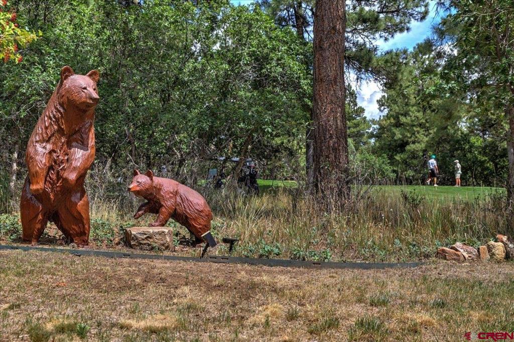 110 Fairway Place Pagosa Springs CO 81147
