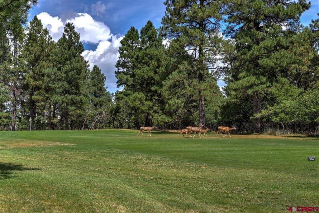 110 Fairway Place Pagosa Springs CO 81147