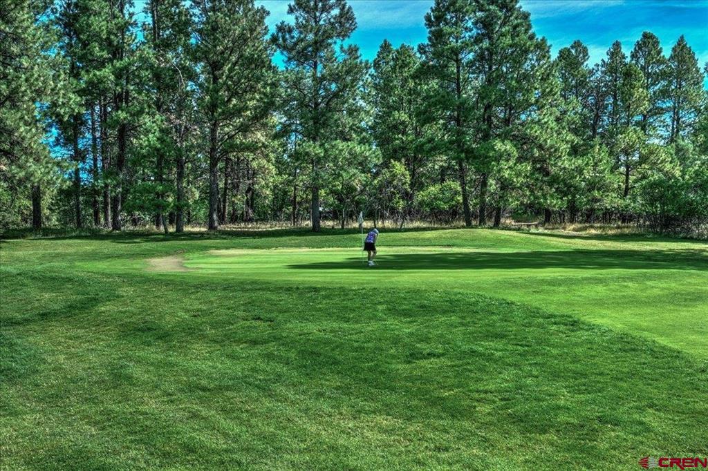 110 Fairway Place Pagosa Springs CO 81147