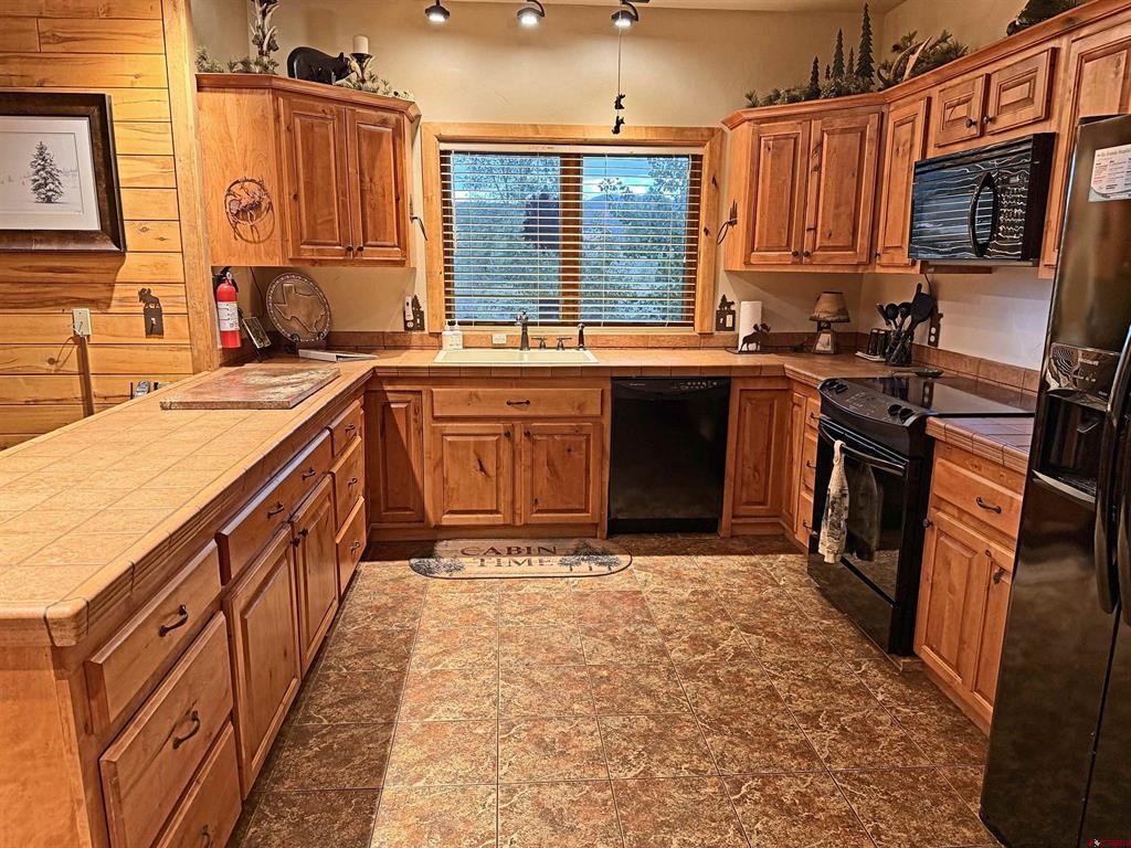 145 Crow's Nest Drive South Fork CO 81154