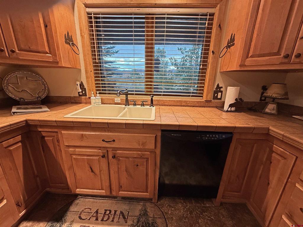 145 Crow's Nest Drive South Fork CO 81154