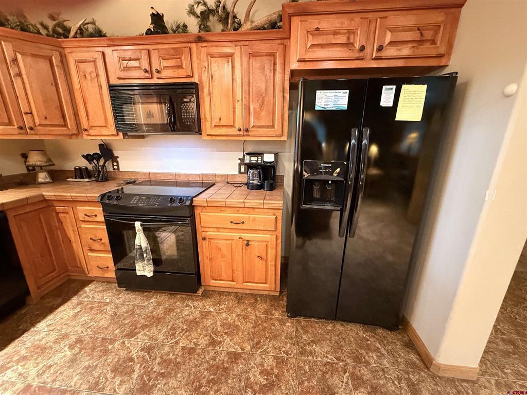 145 Crow's Nest Drive South Fork CO 81154