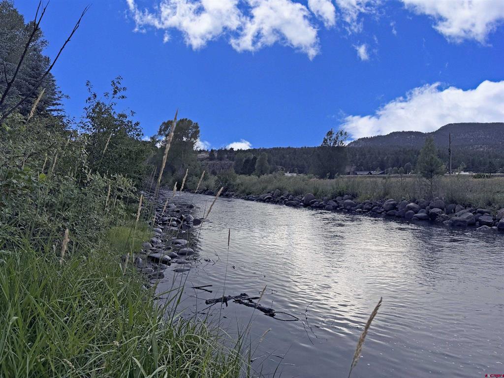 145 Crow's Nest Drive South Fork CO 81154