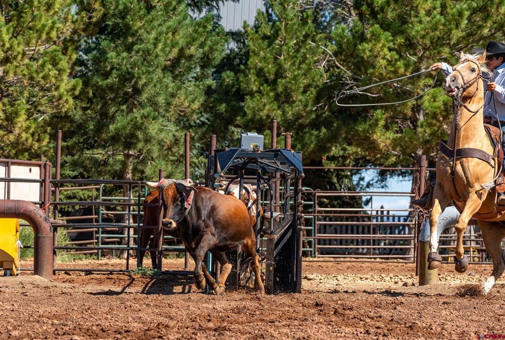 16464 Road W Yellow Jacket CO 81335
