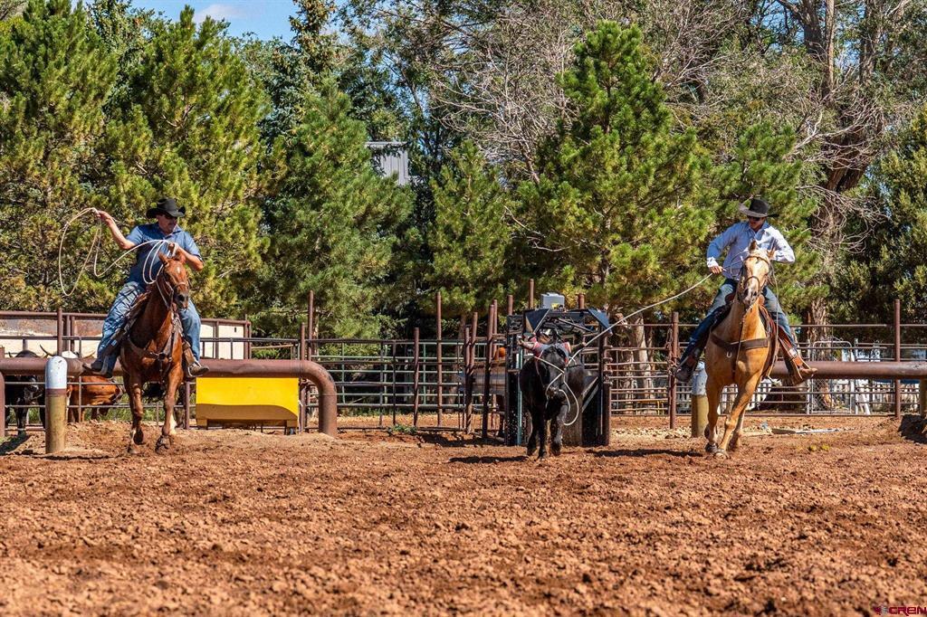 16464 Road W Yellow Jacket CO 81335