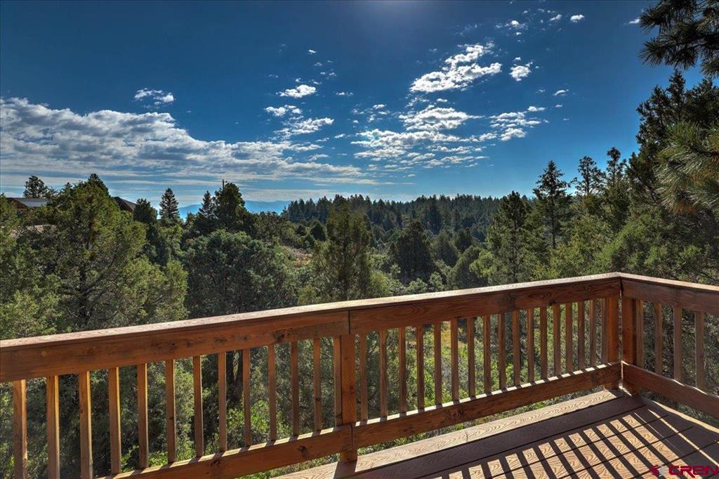 160 Cameron Place Pagosa Springs CO 81147
