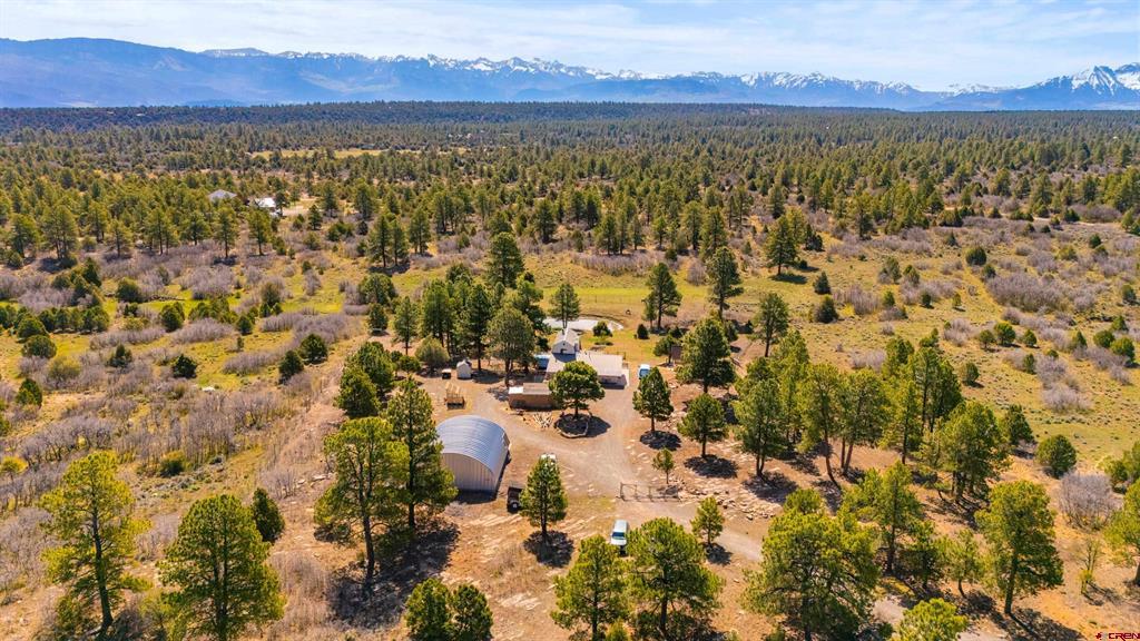 3460 Mariposa Drive Montrose CO 81401