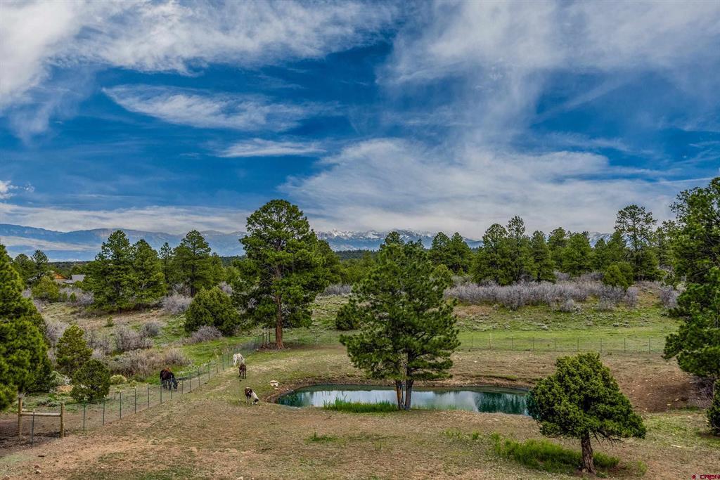 3460 Mariposa Drive Montrose CO 81401