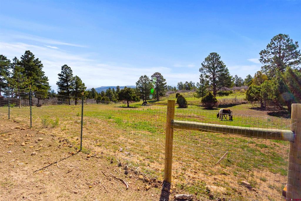 3460 Mariposa Drive Montrose CO 81401