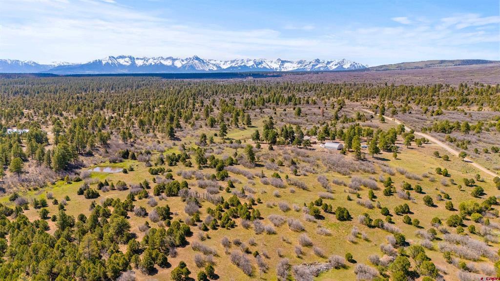 3460 Mariposa Drive Montrose CO 81401