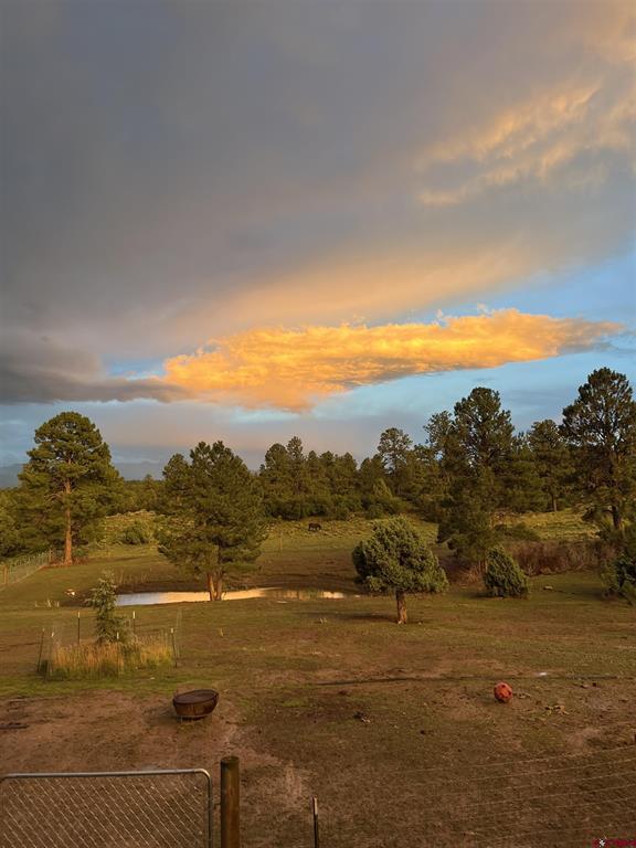 3460 Mariposa Drive Montrose CO 81401