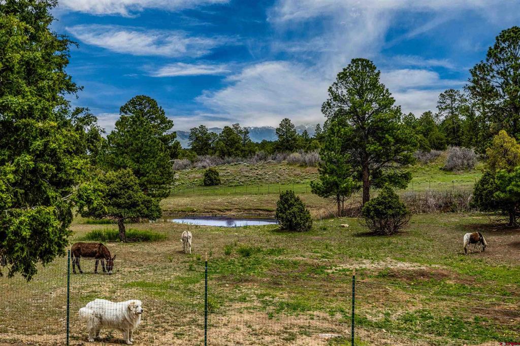 3460 Mariposa Drive Montrose CO 81401