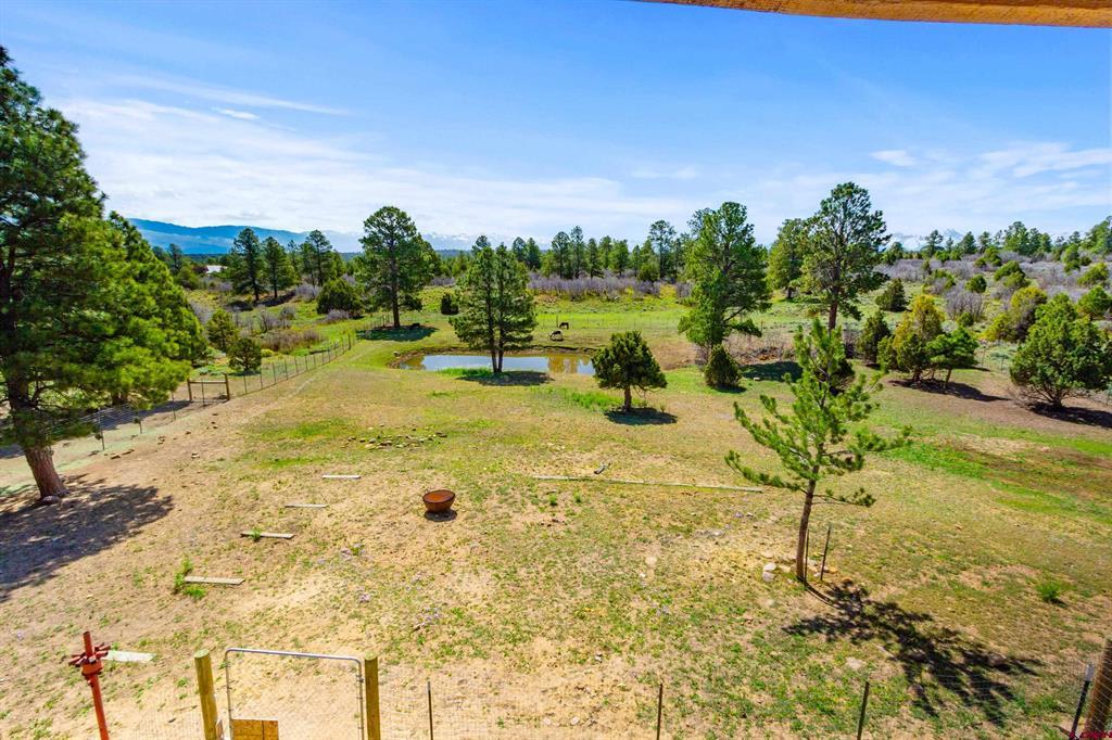 3460 Mariposa Drive Montrose CO 81401