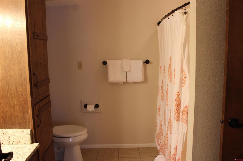 217 Pinon Causeway Pagosa Springs CO 81147