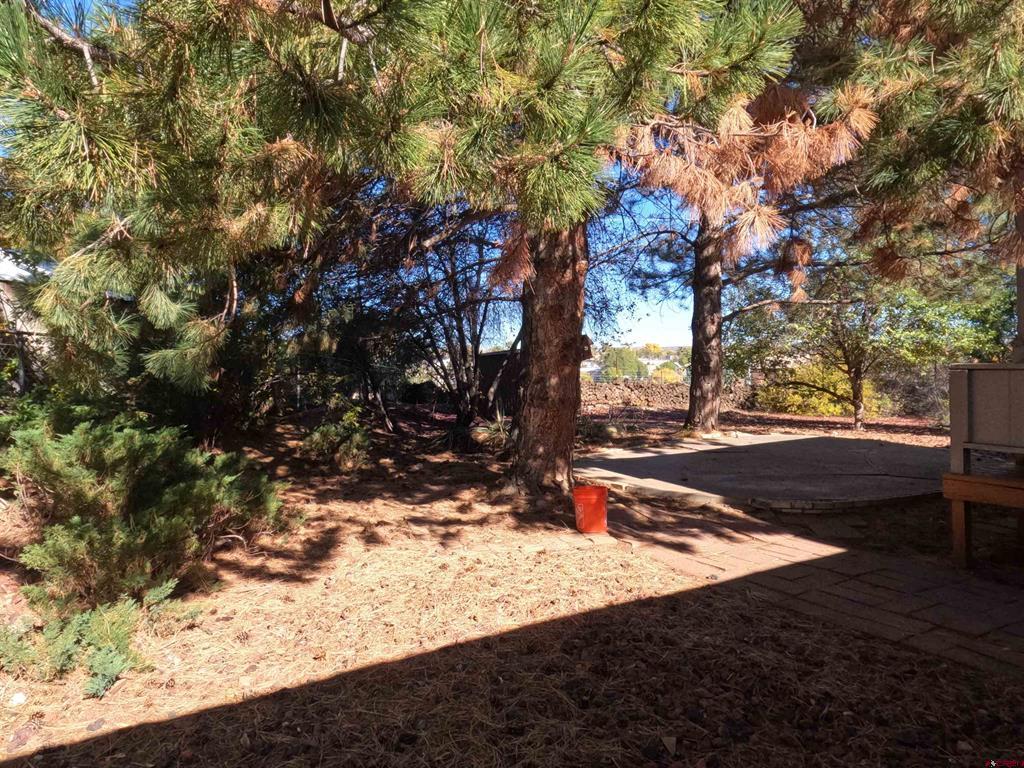 24315 Road K.7 Cortez CO 81321