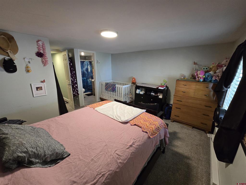 456 Valley View Drive Bayfield CO 81122