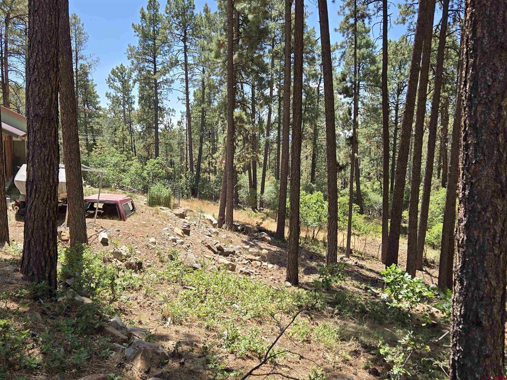 456 Valley View Drive Bayfield CO 81122
