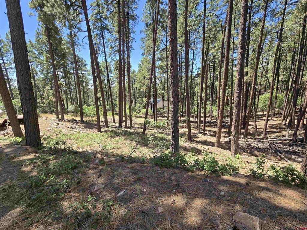 456 Valley View Drive Bayfield CO 81122