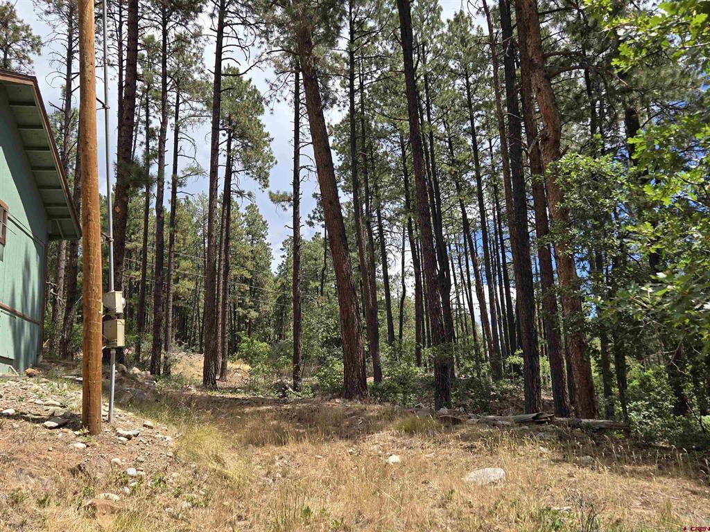 456 Valley View Drive Bayfield CO 81122