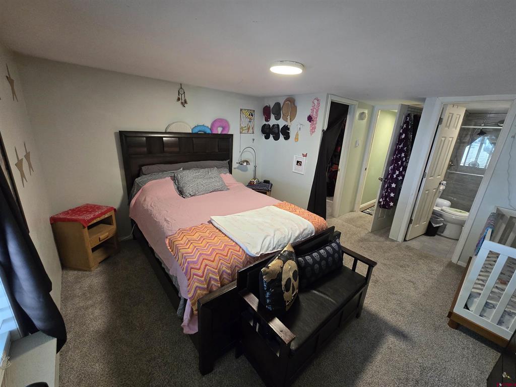456 Valley View Drive Bayfield CO 81122