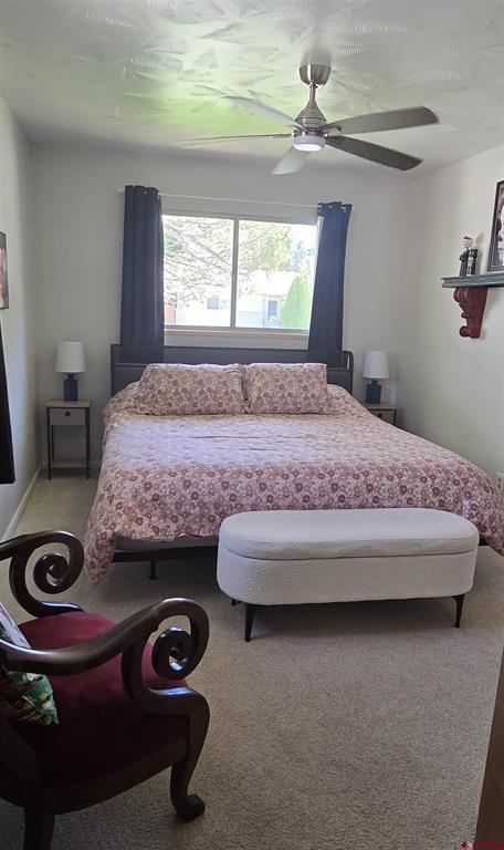 1408 Bristol Drive Montrose CO 81401