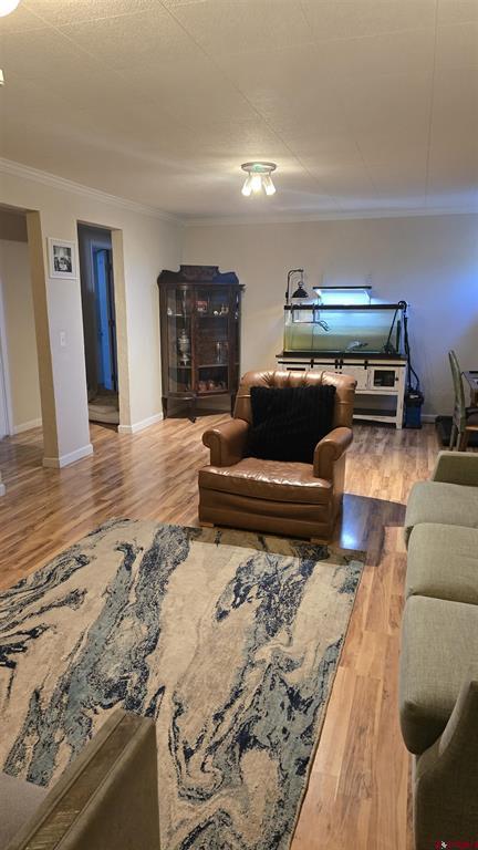 1408 Bristol Drive Montrose CO 81401