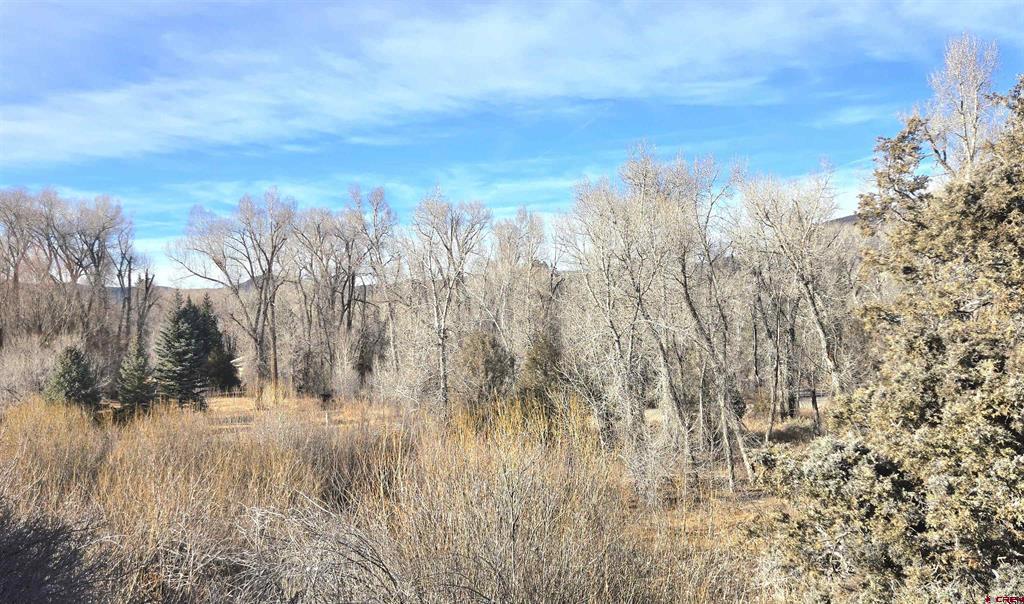 75 Comanche Trail South Fork CO 81154