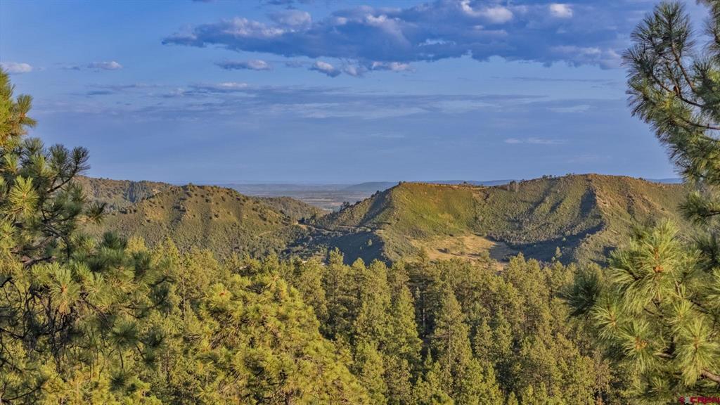 1351 Durango Cliffs Durango CO 81301