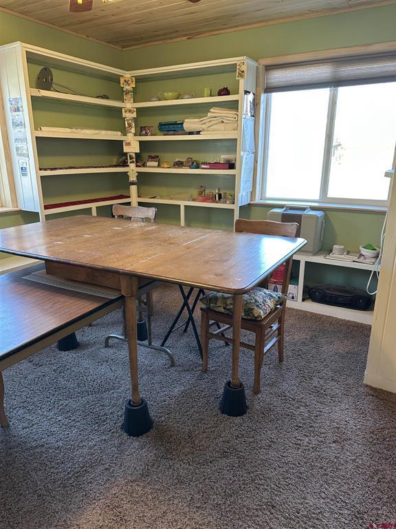 123 Sunshine Avenue Creede CO 81130
