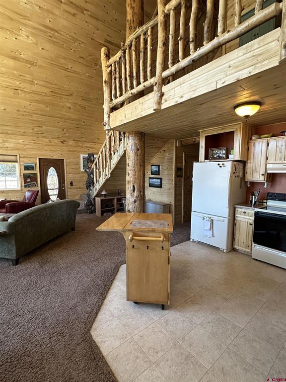 123 Sunshine Avenue Creede CO 81130