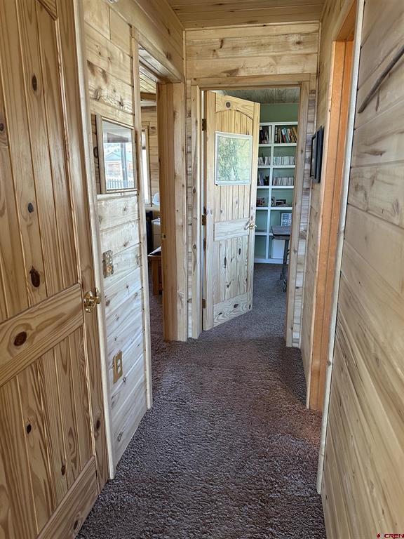 123 Sunshine Avenue Creede CO 81130