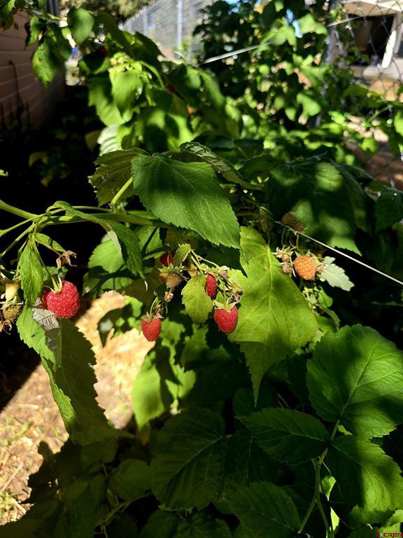 610 Hermosa Street Del Norte CO 81132