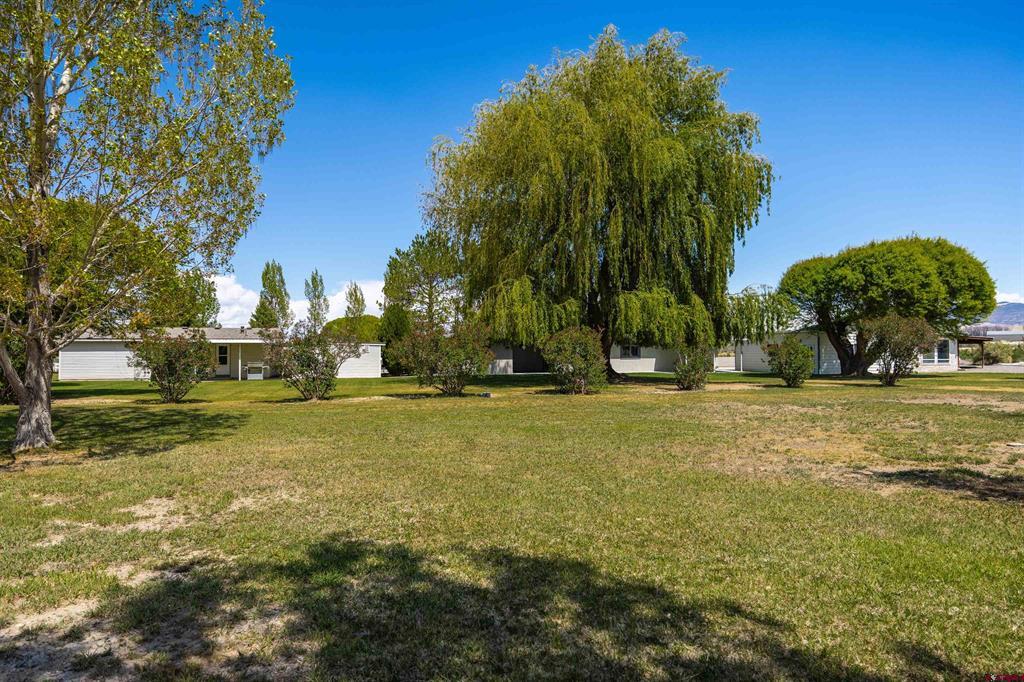 64372 Jig Road Montrose CO 81401