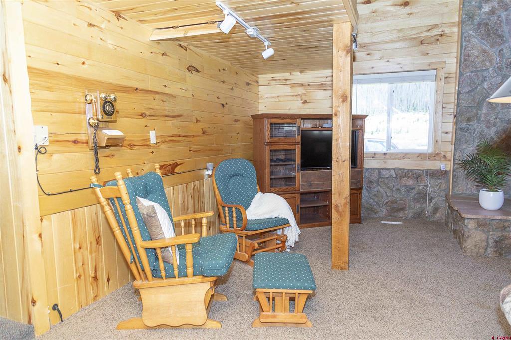 4100 Usfs #460 Road Creede CO 81130