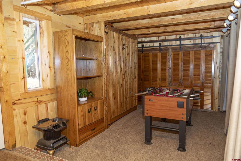 4100 Usfs #460 Road Creede CO 81130