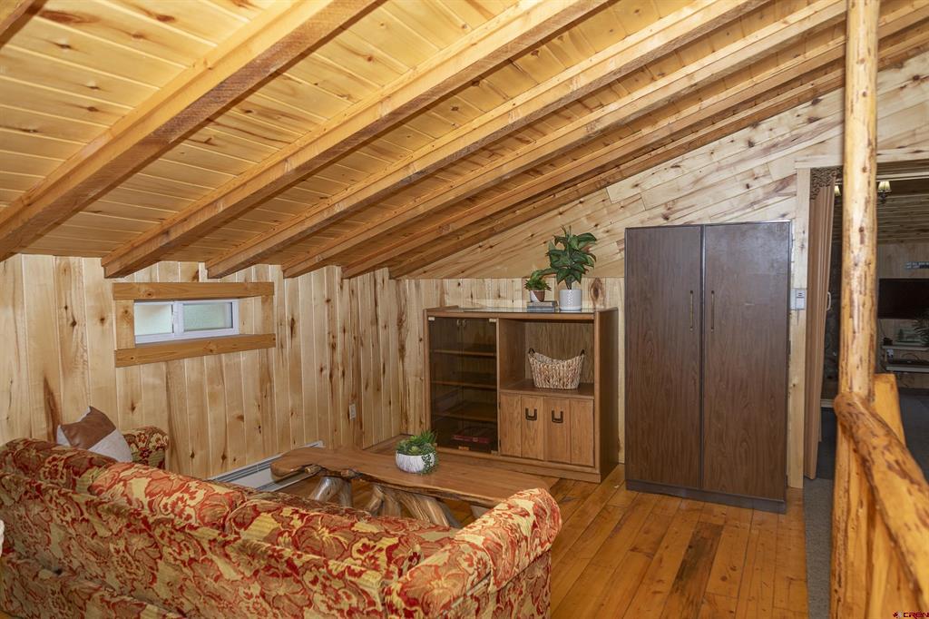 4100 Usfs #460 Road Creede CO 81130