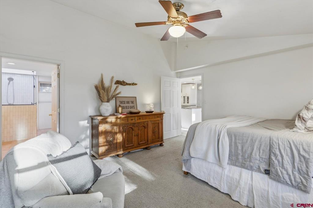 884 Buttress Avenue Pagosa Springs CO 81147