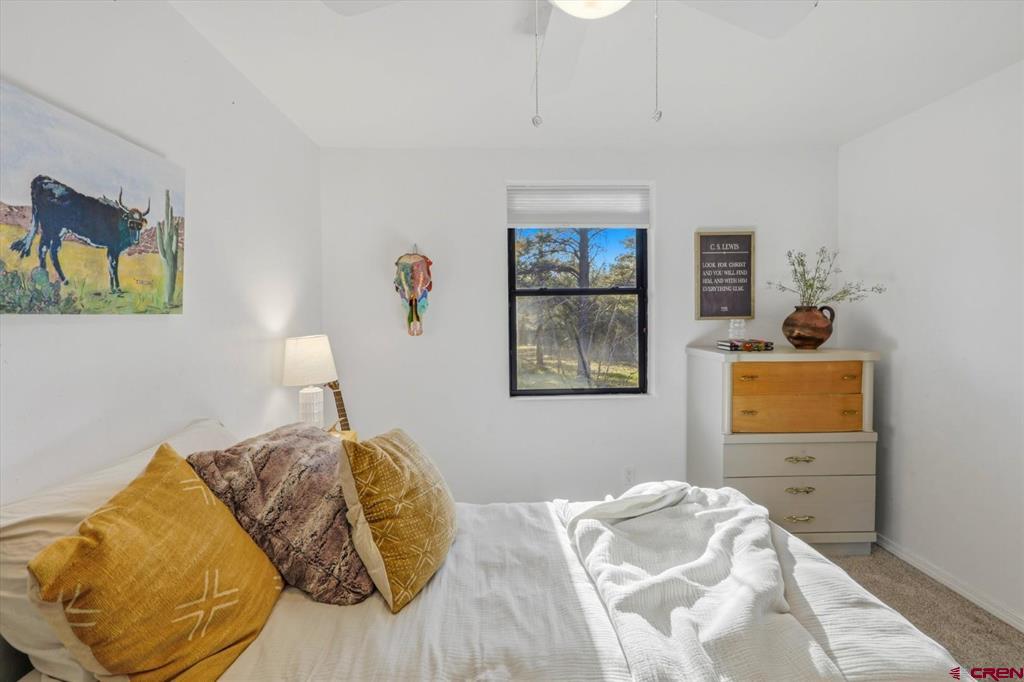 884 Buttress Avenue Pagosa Springs CO 81147