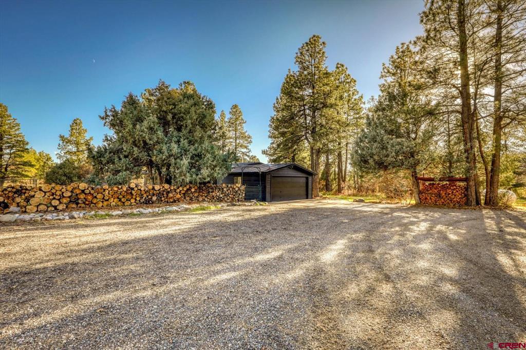 884 Buttress Avenue Pagosa Springs CO 81147